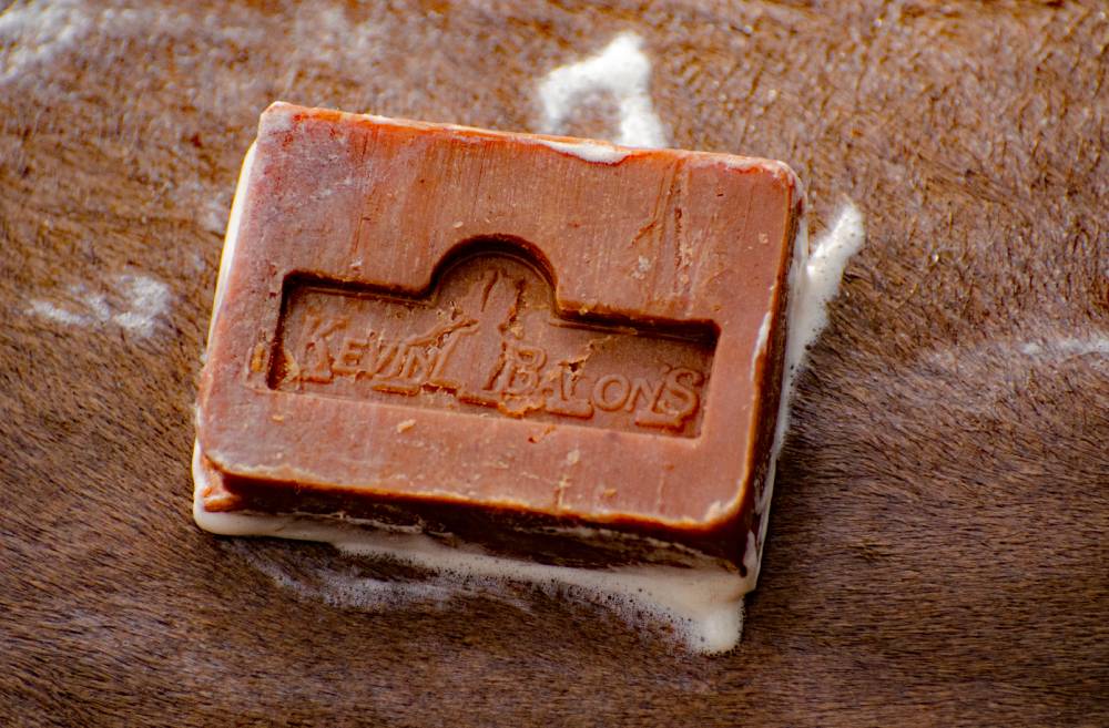 Active Soap 2 Kevin Bacon's savon gale teigne démangeaison peau 100% huiles végétales