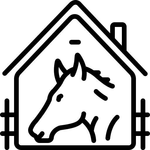 cheval.webp