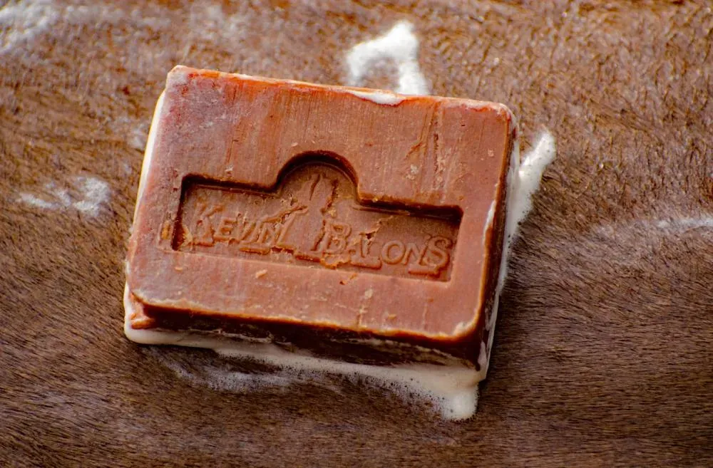 Active Soap KEVIN BACON’S ACTIVE SOAP